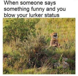 Lurker status.jpg