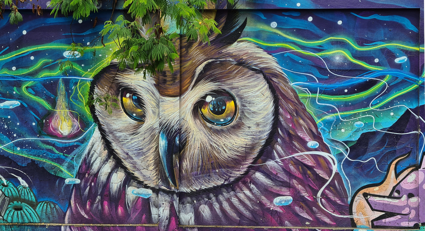Antofagasta Street Art (En/Es)