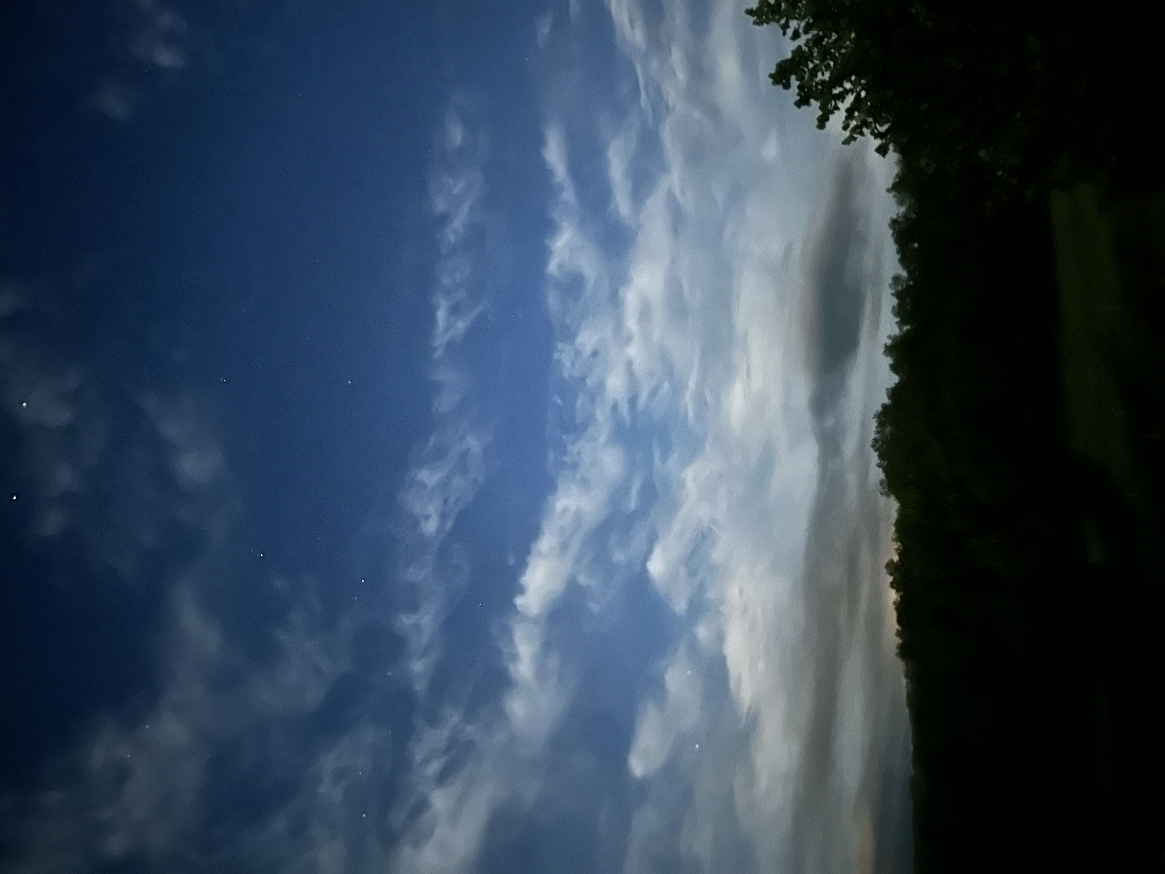 IMG_2661.jpeg