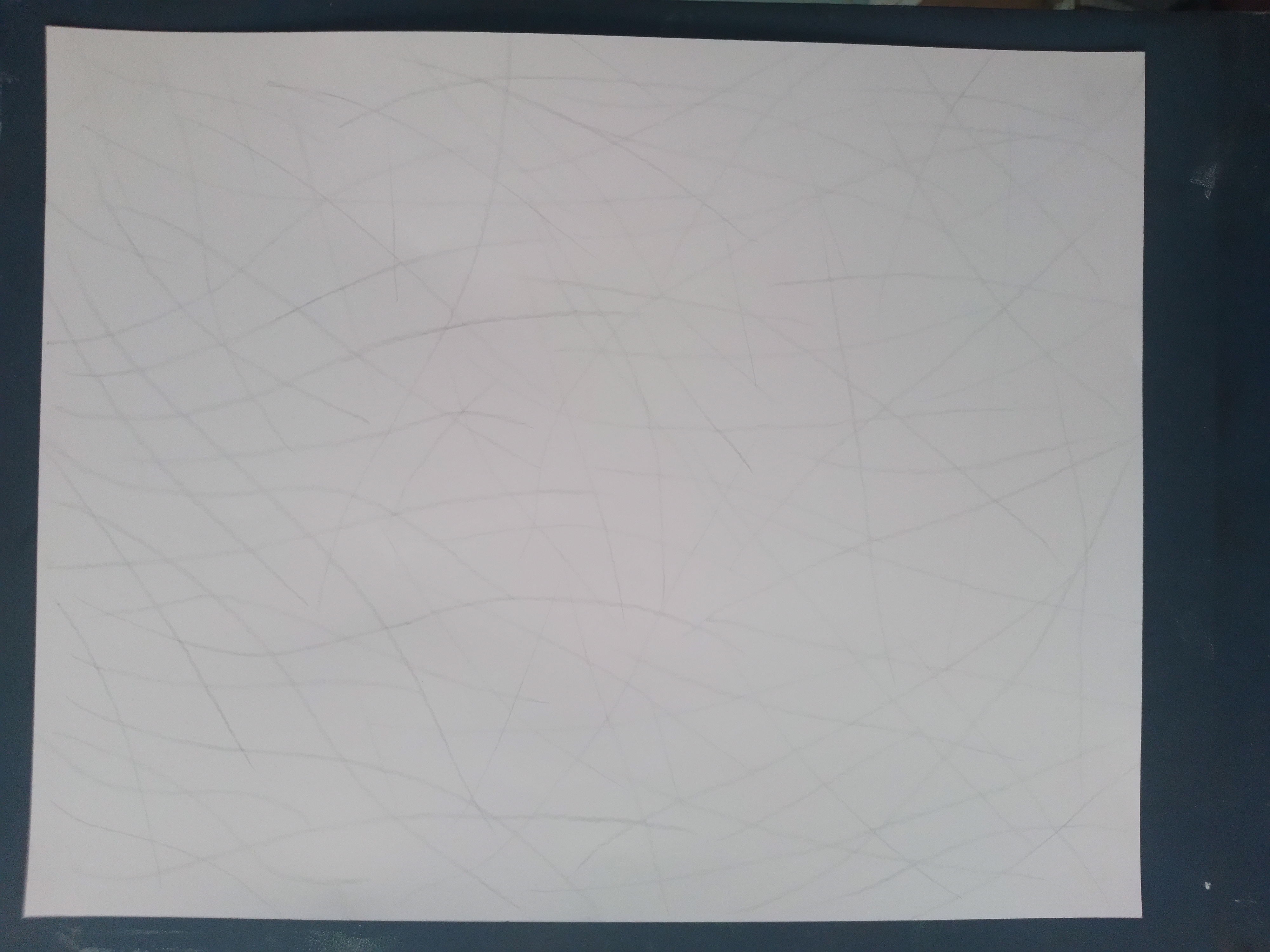 20250417_110142.jpg