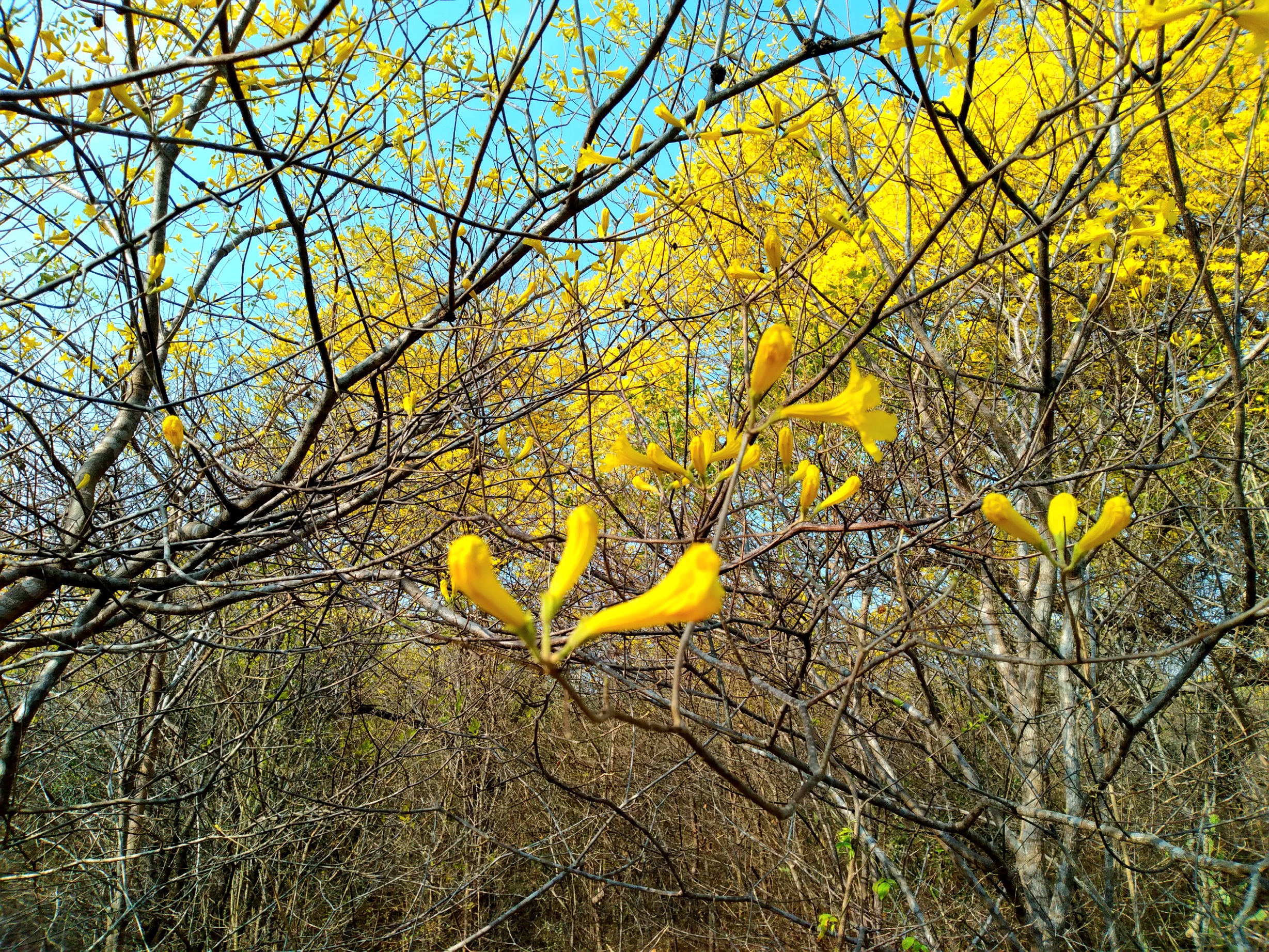 20250321_090241.jpg