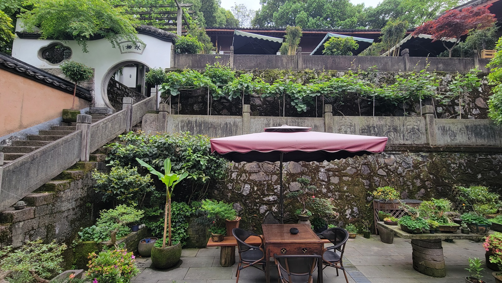 20230418_135831.jpg