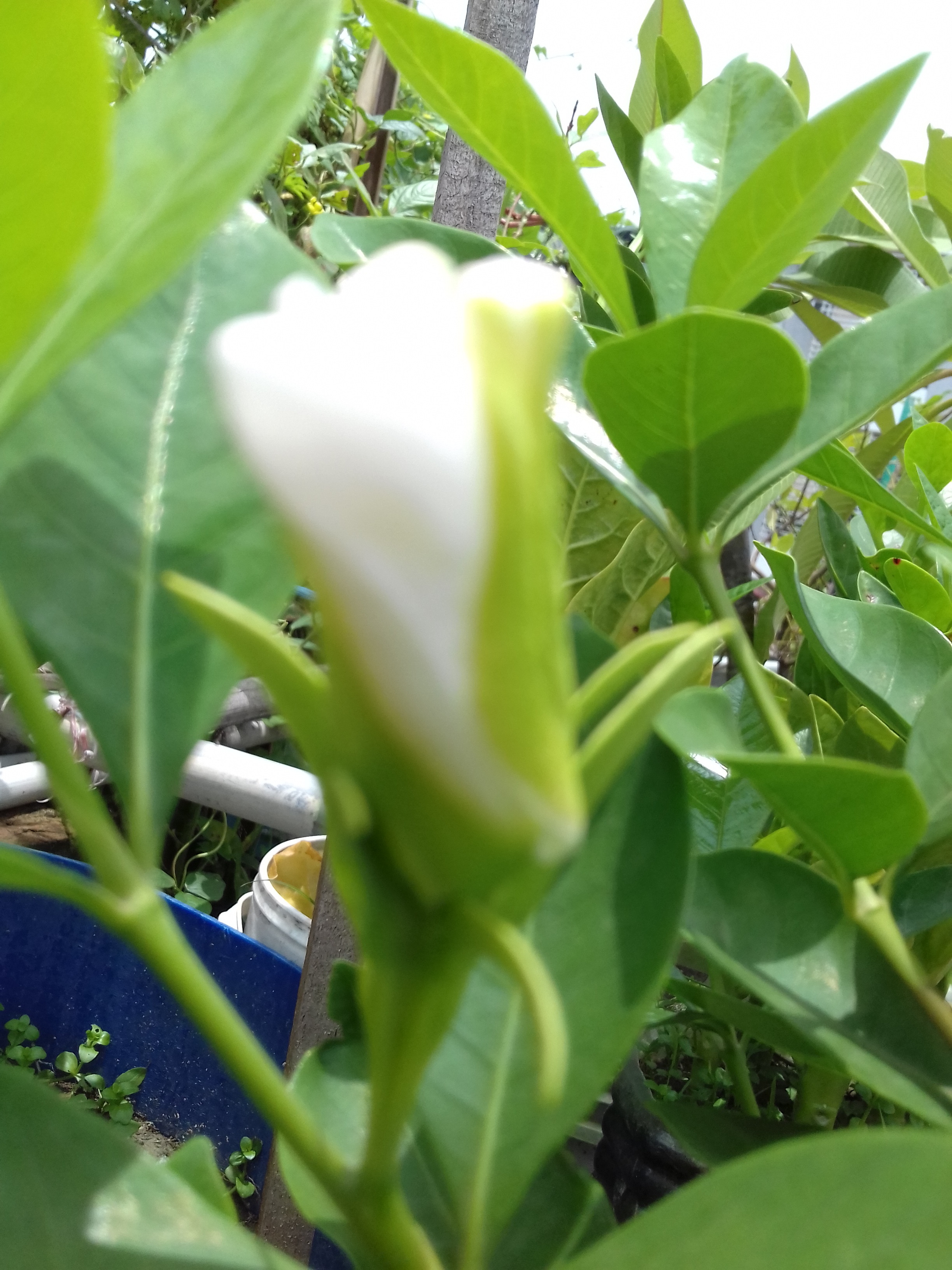 20190712_115231.jpg