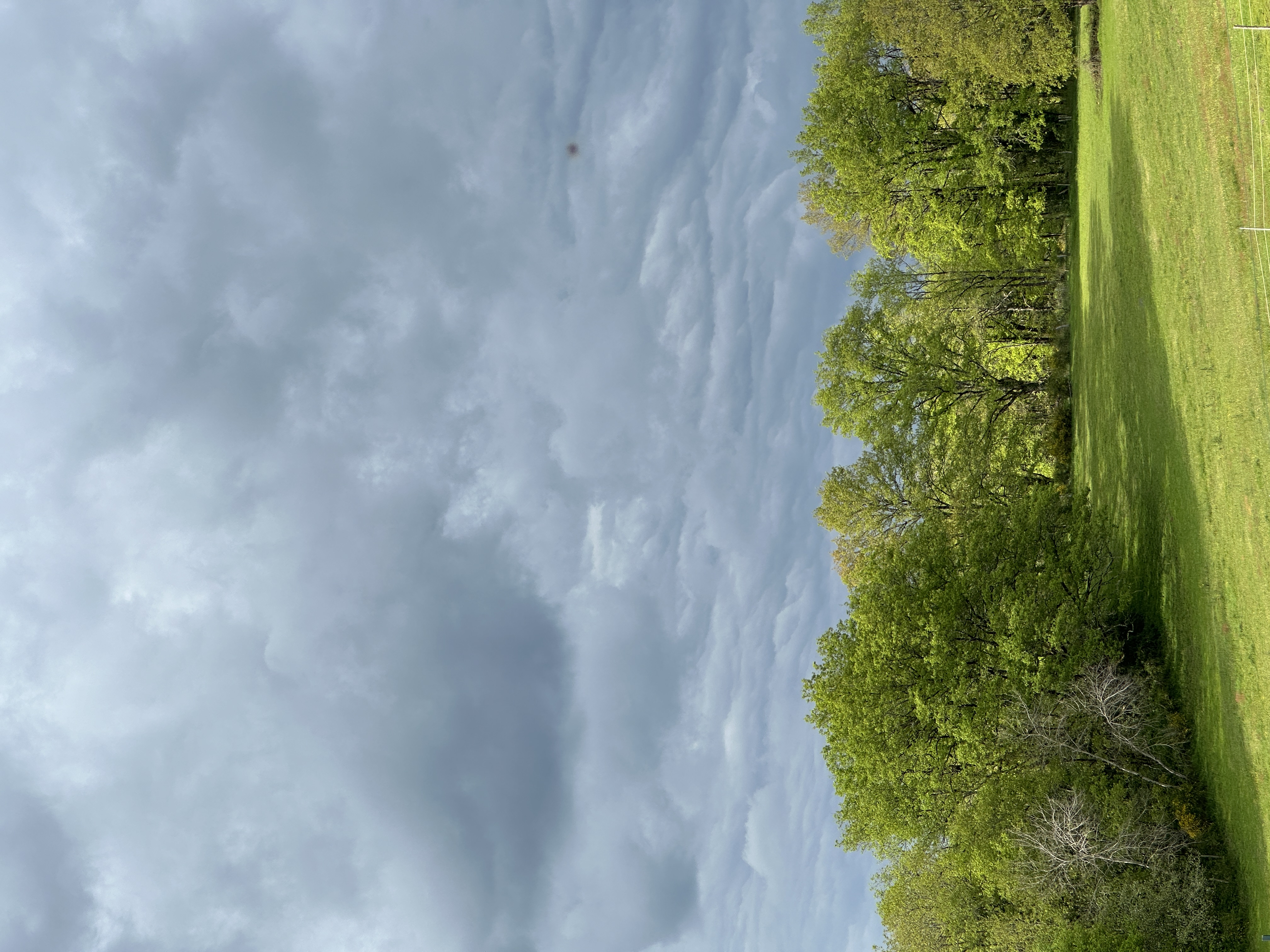 IMG_2302.jpeg