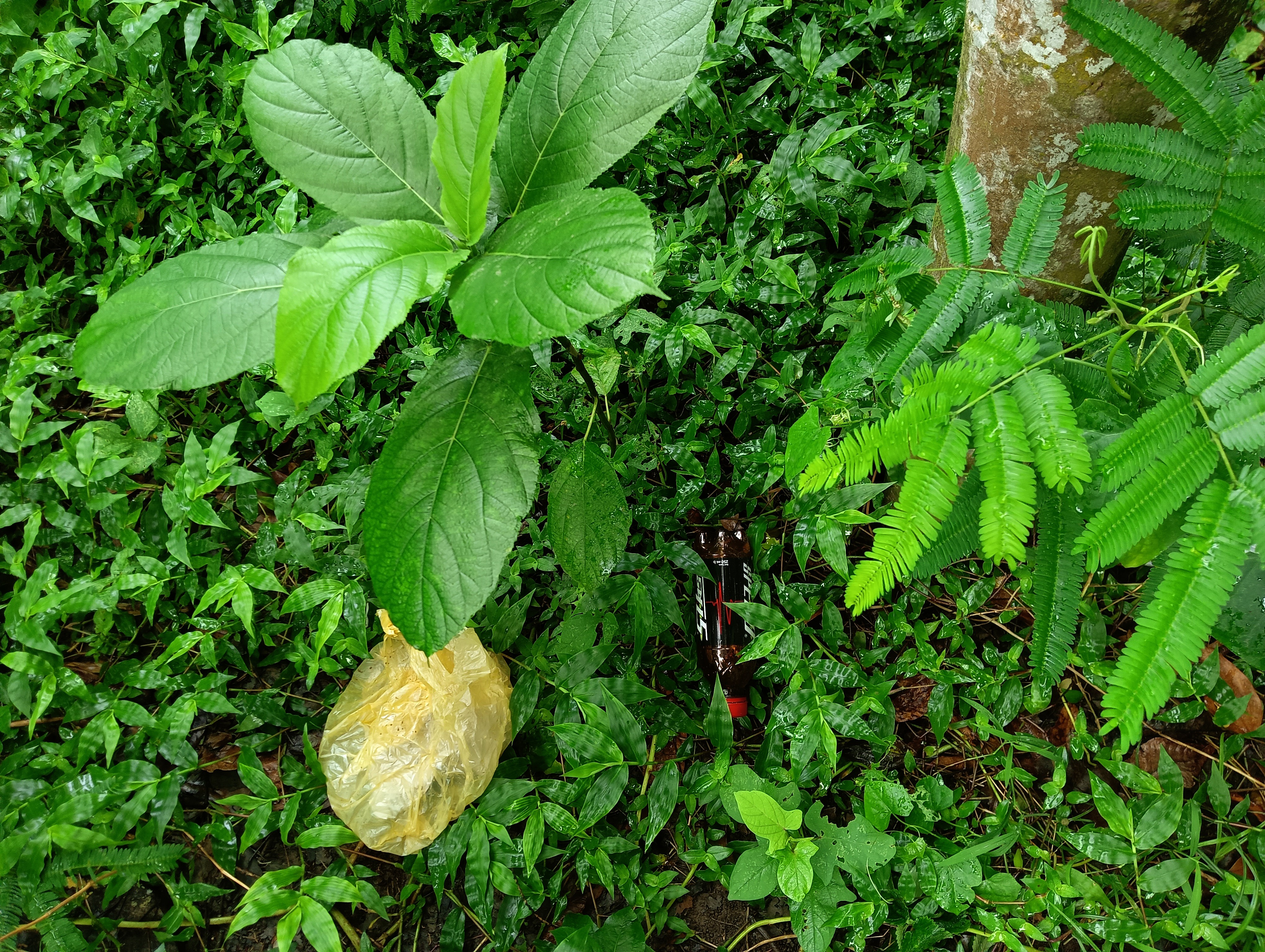 IMG20240827105233.jpg