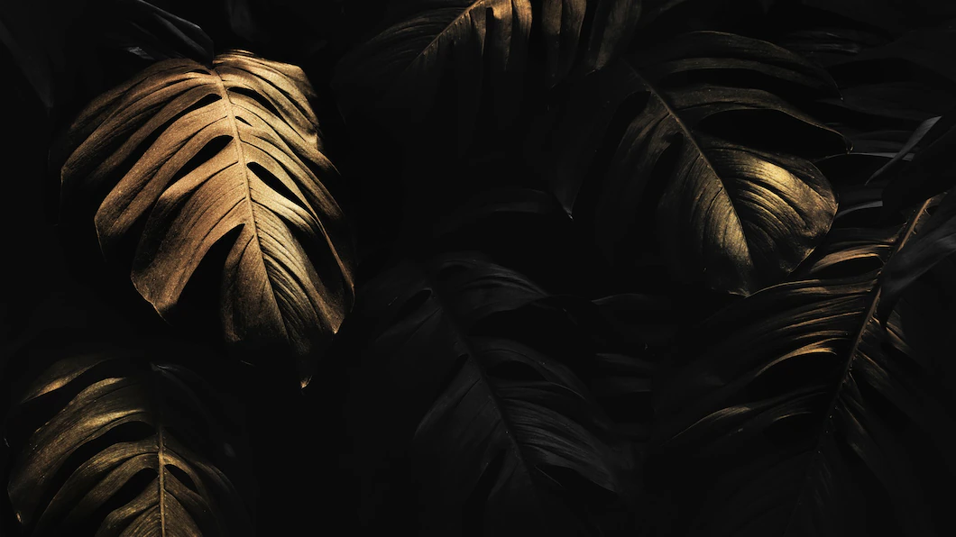 golden-monstera-leaves-background-design-resource_53876-143096.webp