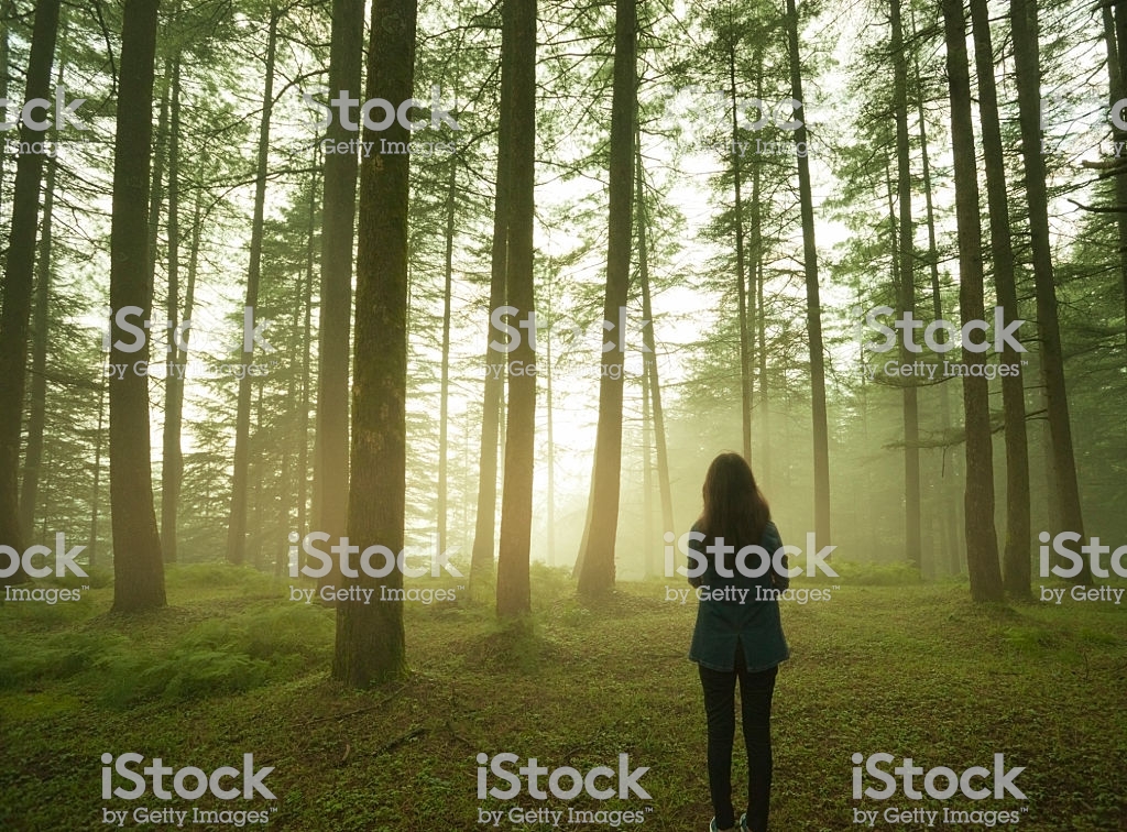 istockphoto-618969516-1024x1024.jpg