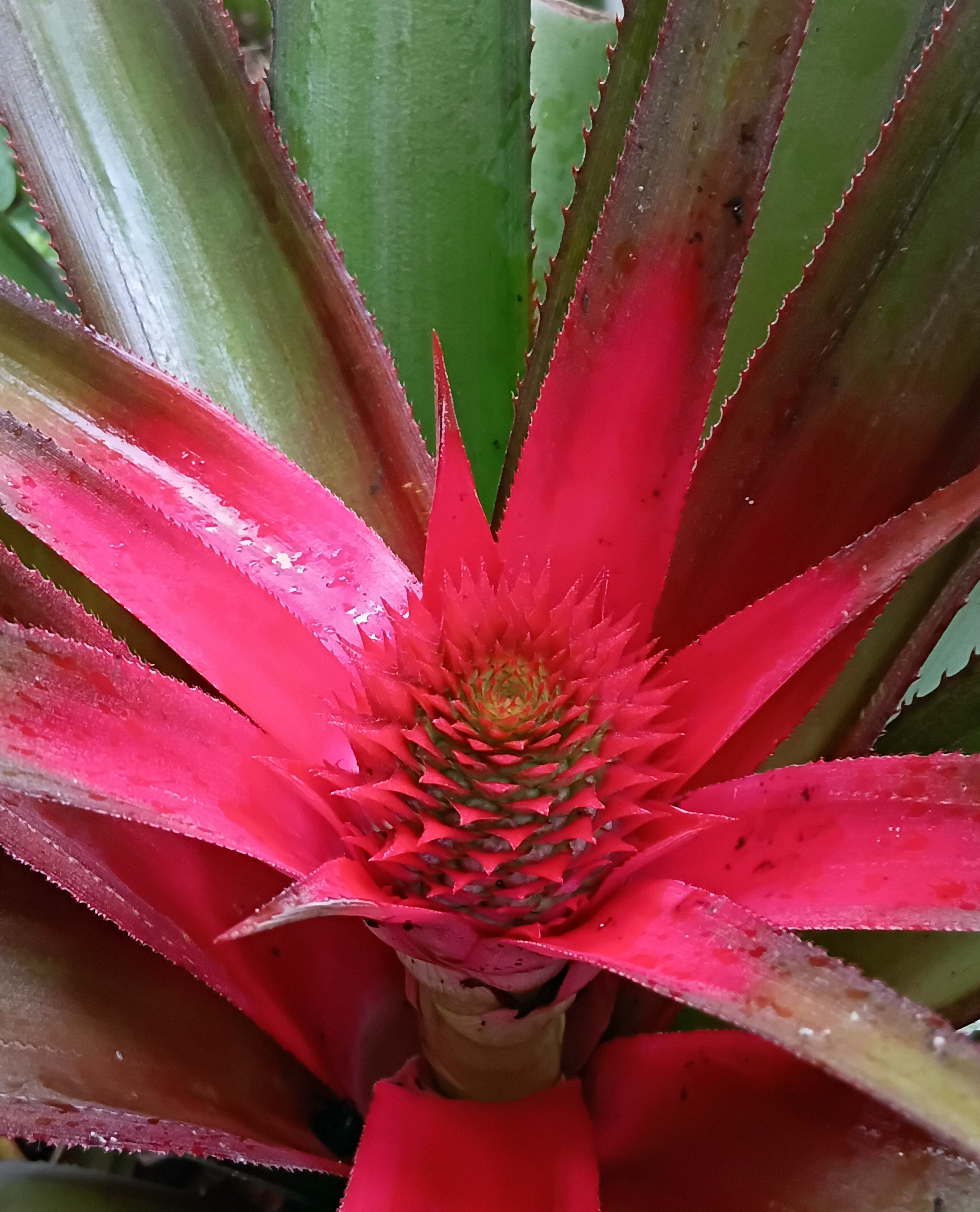 20250731_091555.jpg