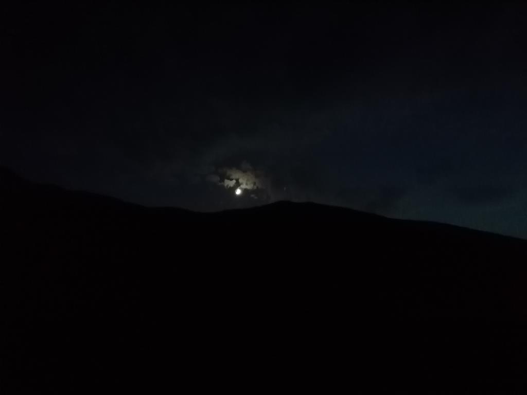 IMG_20231020_181103.jpg