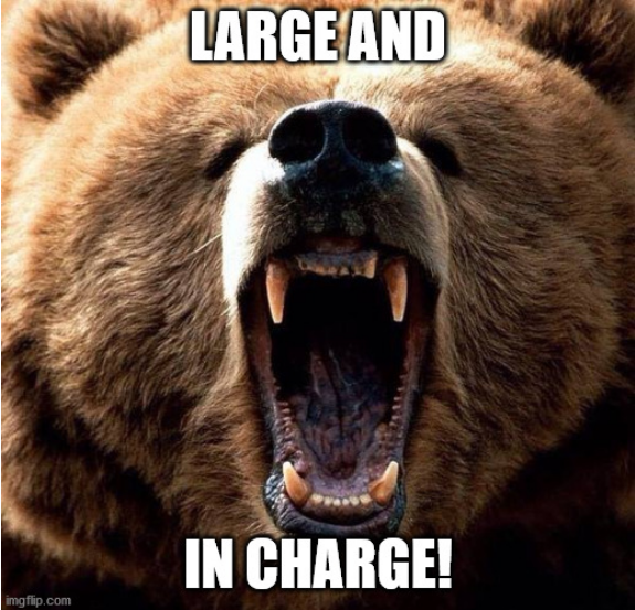 Screenshot 2021-09-22 at 17-39-46 Don't poke the bear Meme Generator - Imgflip.png