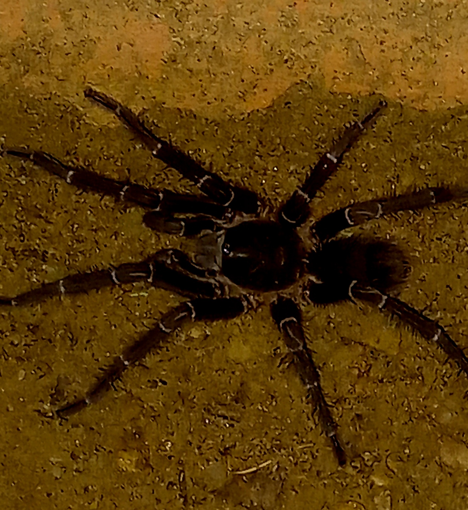 20220820_211741.jpg