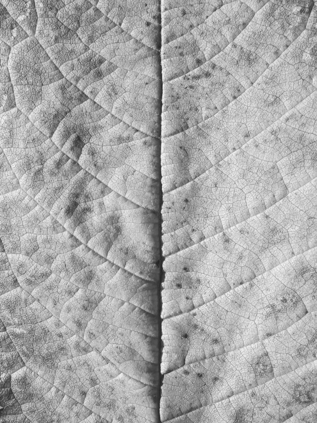 20181011_174223~4.jpg