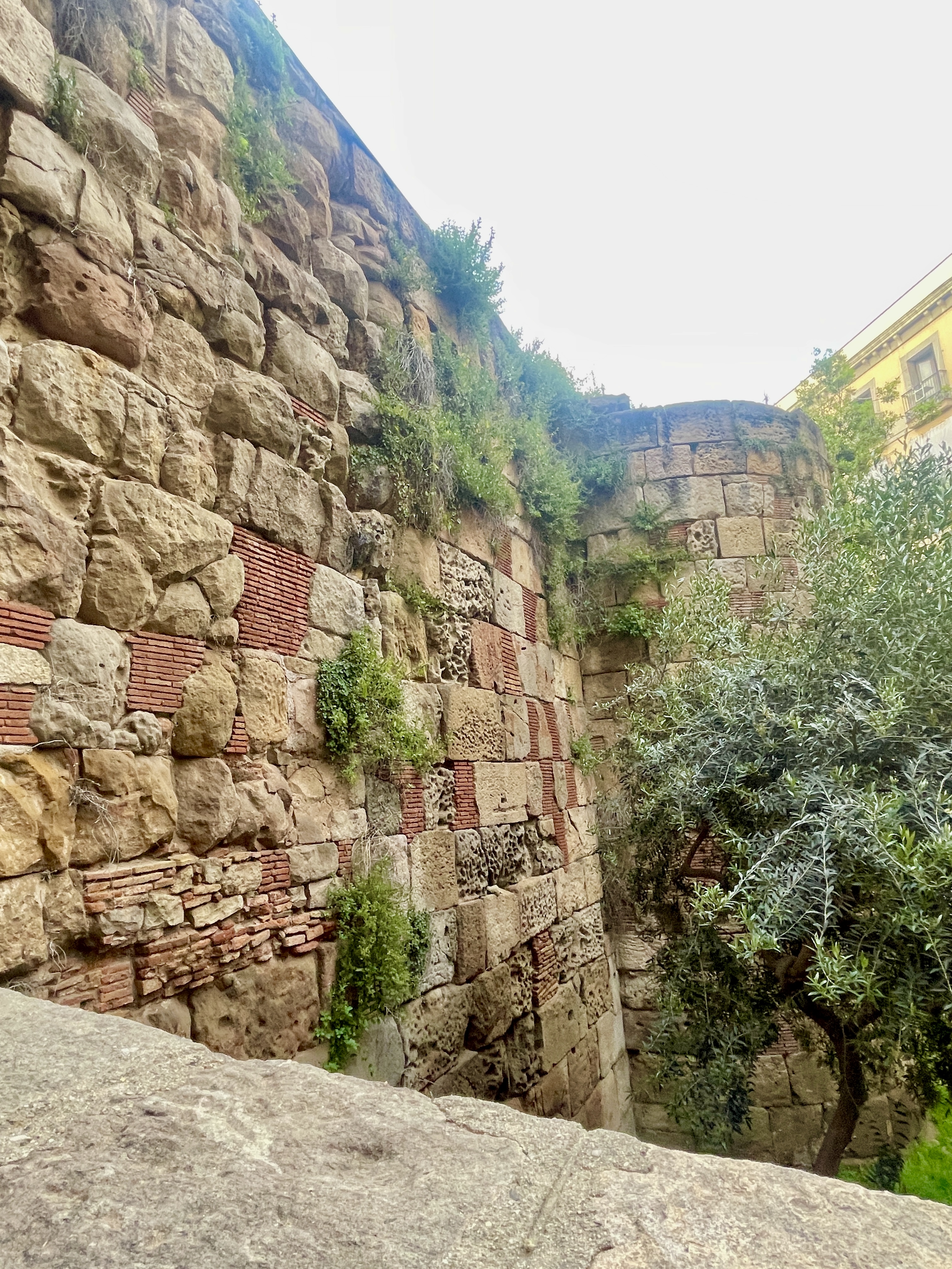 IMG_5634.jpeg