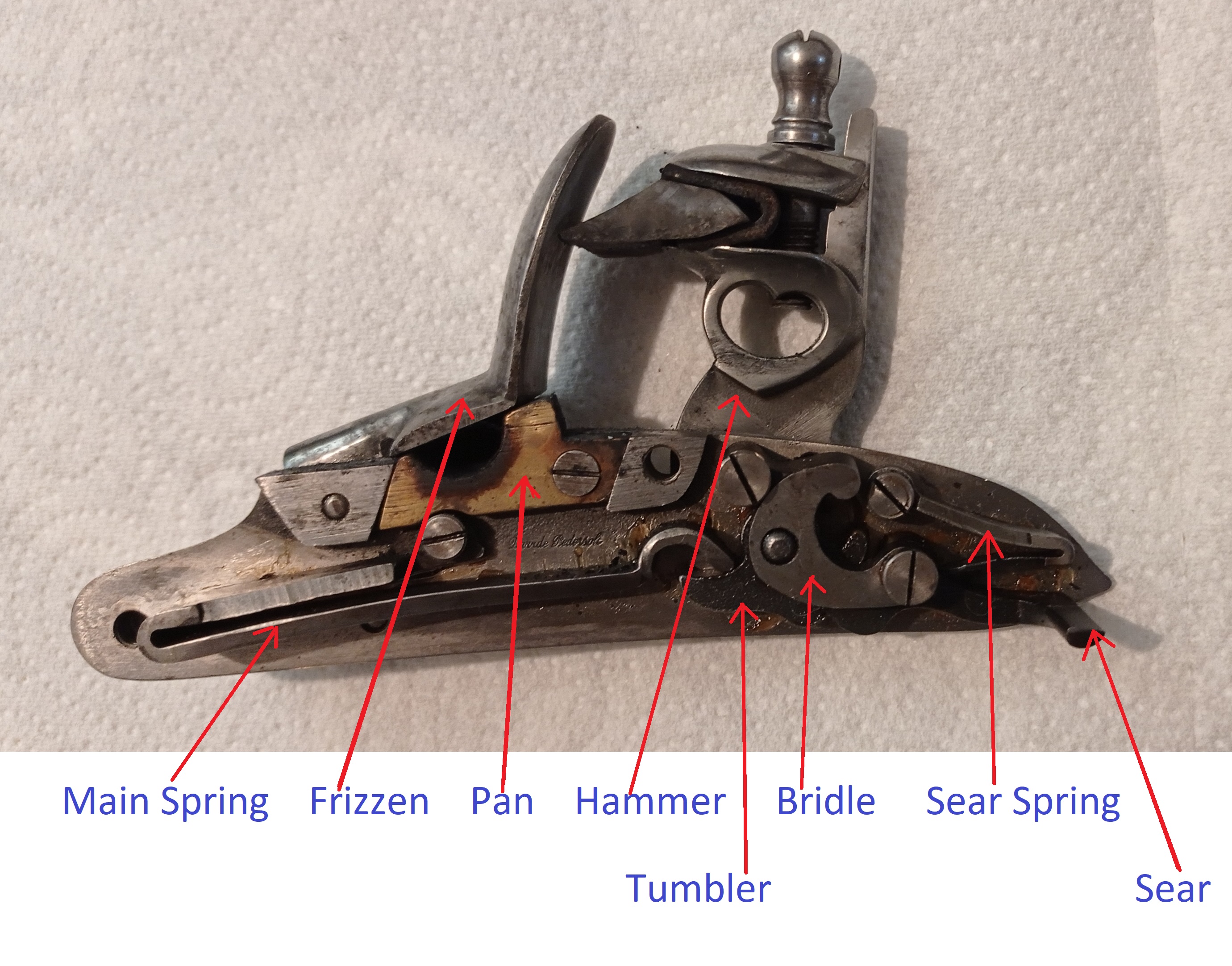 Musket 3.jpg