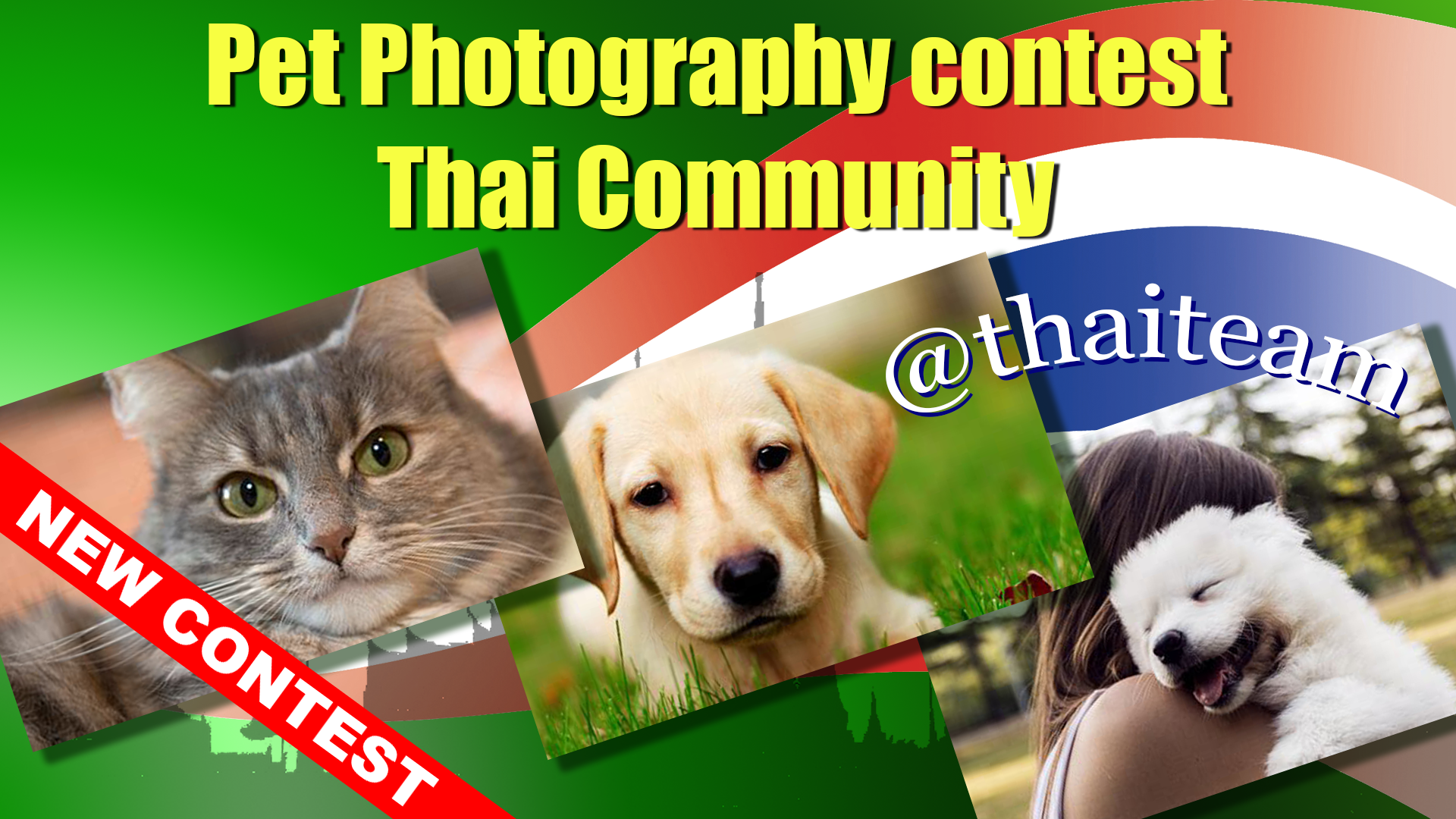 Pet Photography contest.png