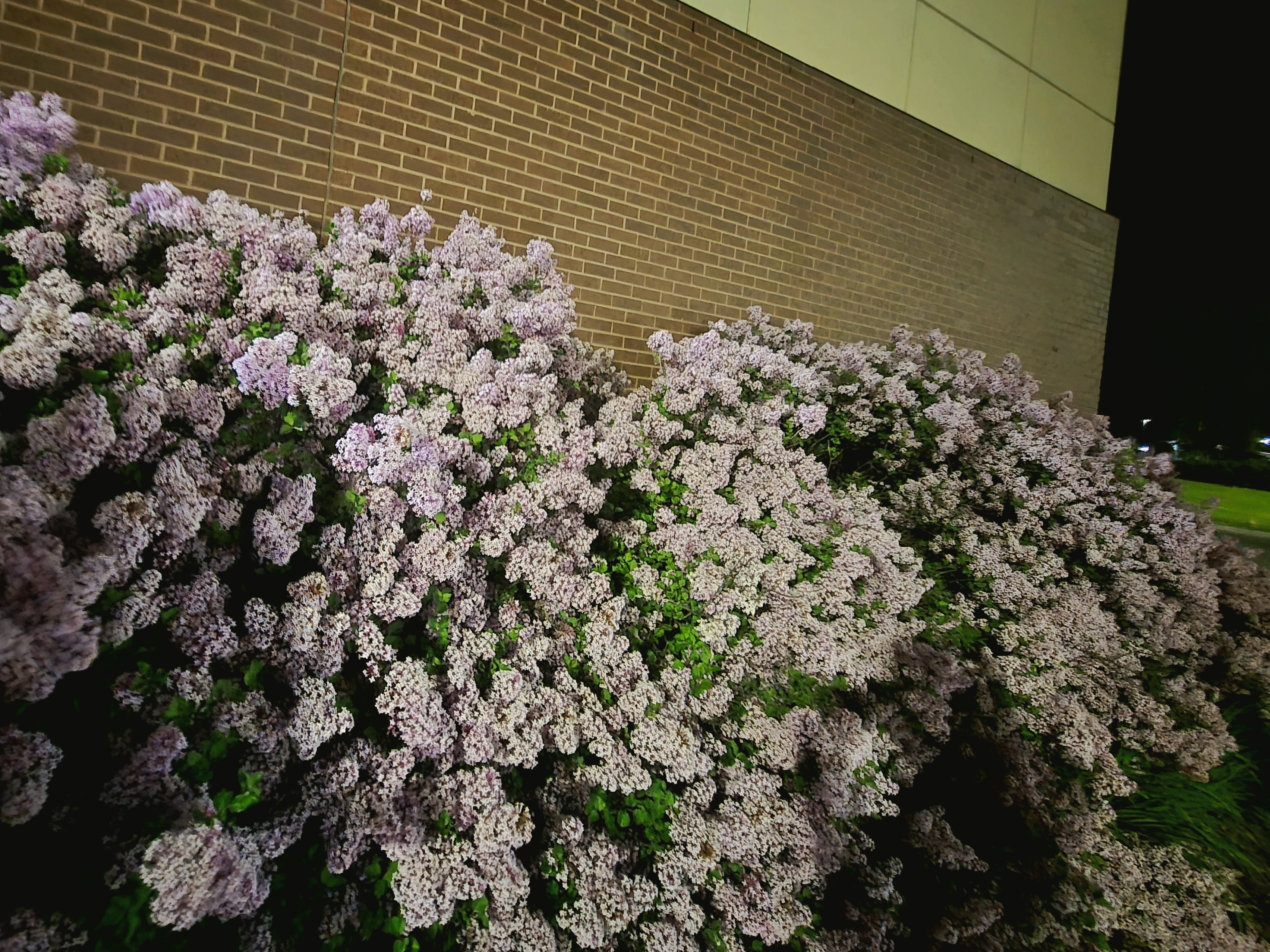 20250531_223605.jpg