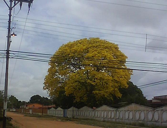 Fotografía 1037.jpg