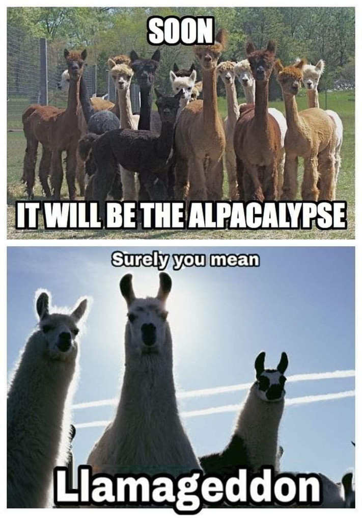 original-916716E7-90D1-4EA3-9D78-32AB9EBB8547.jpeg
