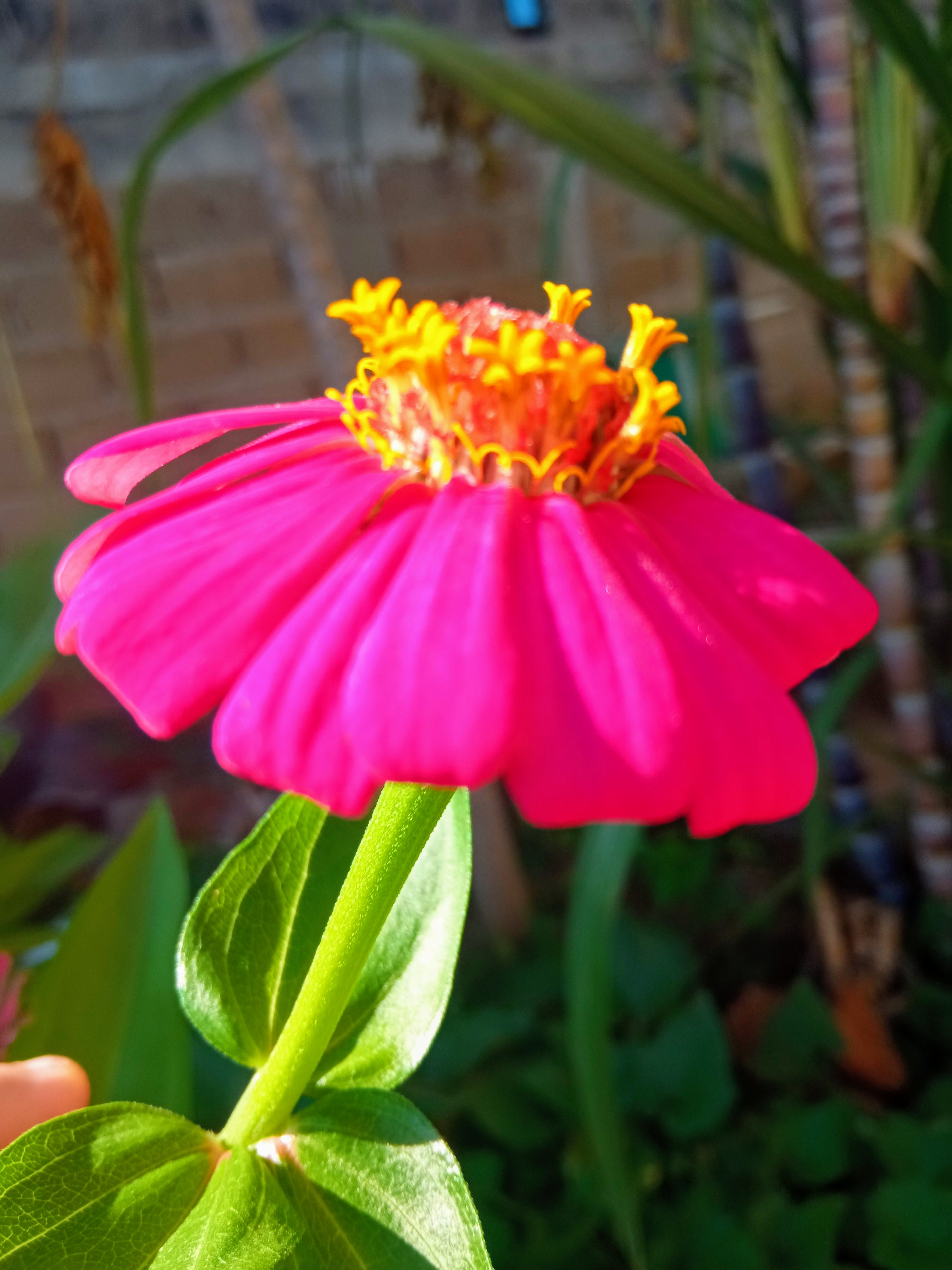 IMG_20230901_090021-EFFECTS.jpg