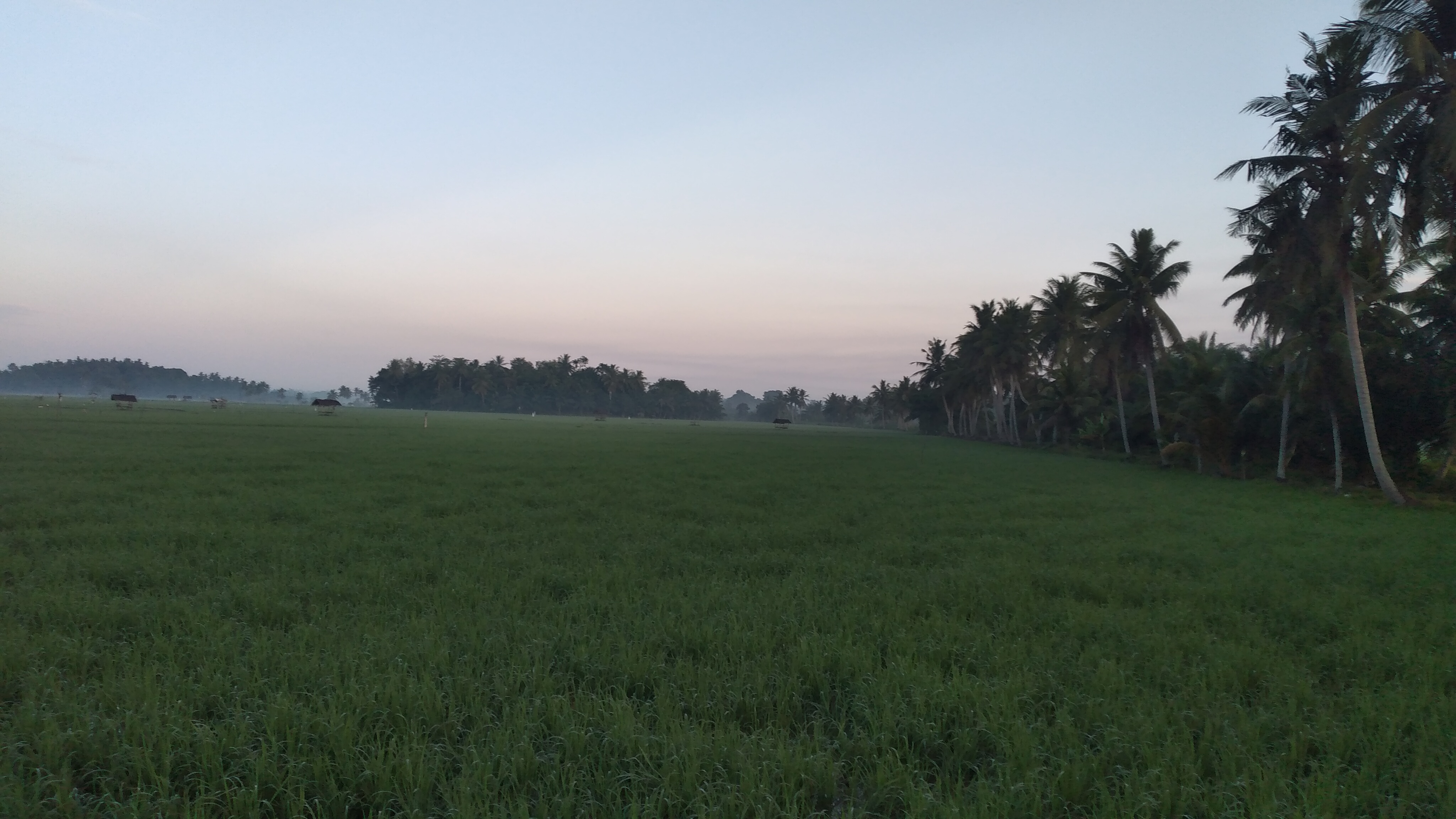 20240226_070050.jpg