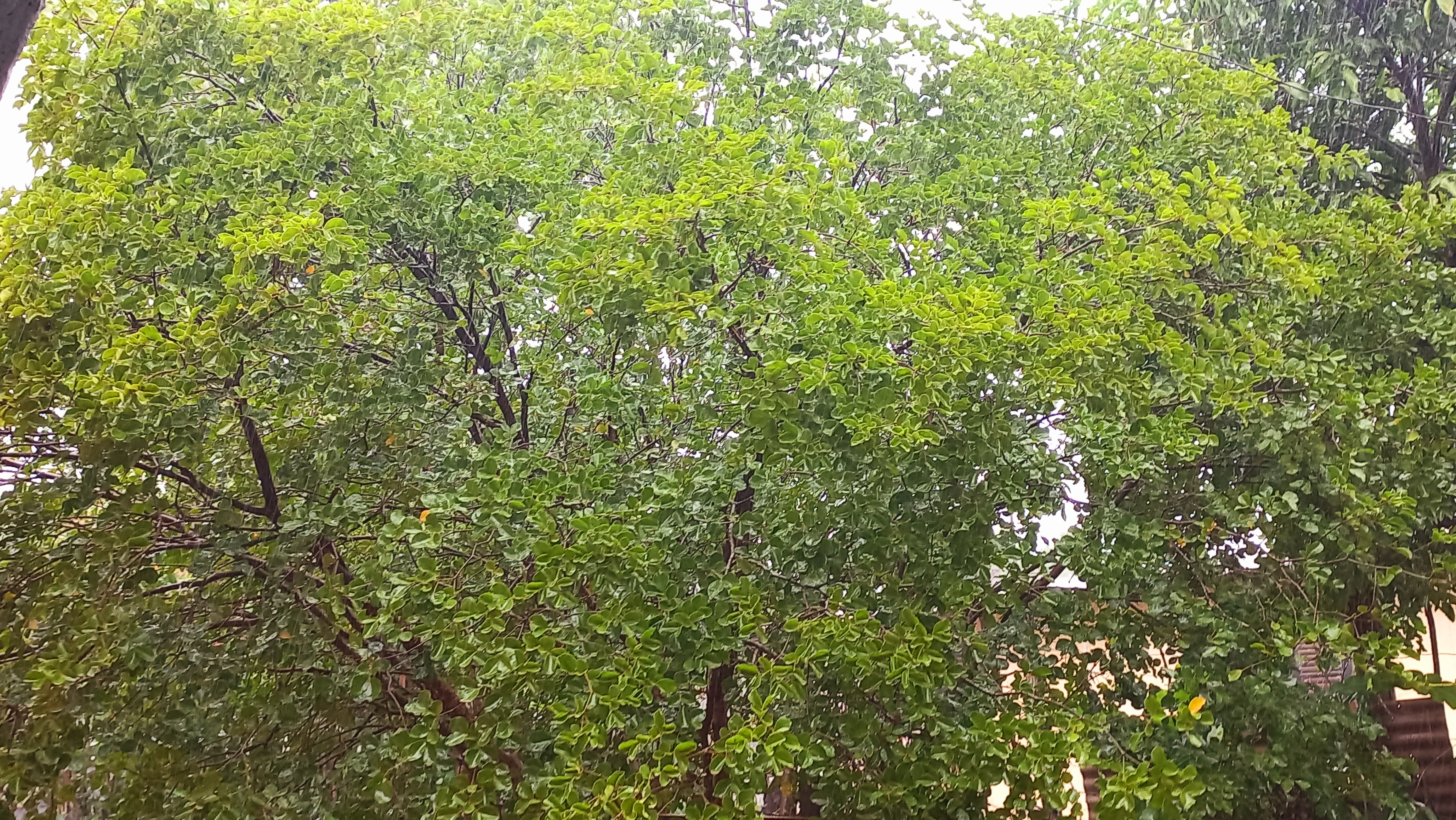 20250619_152740.jpg