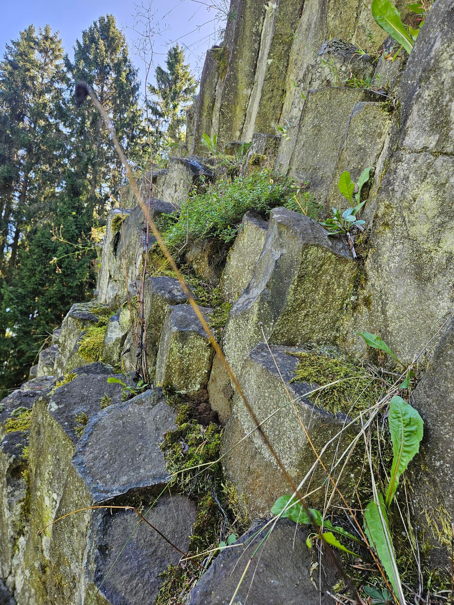 footer_image_15492111092.png
