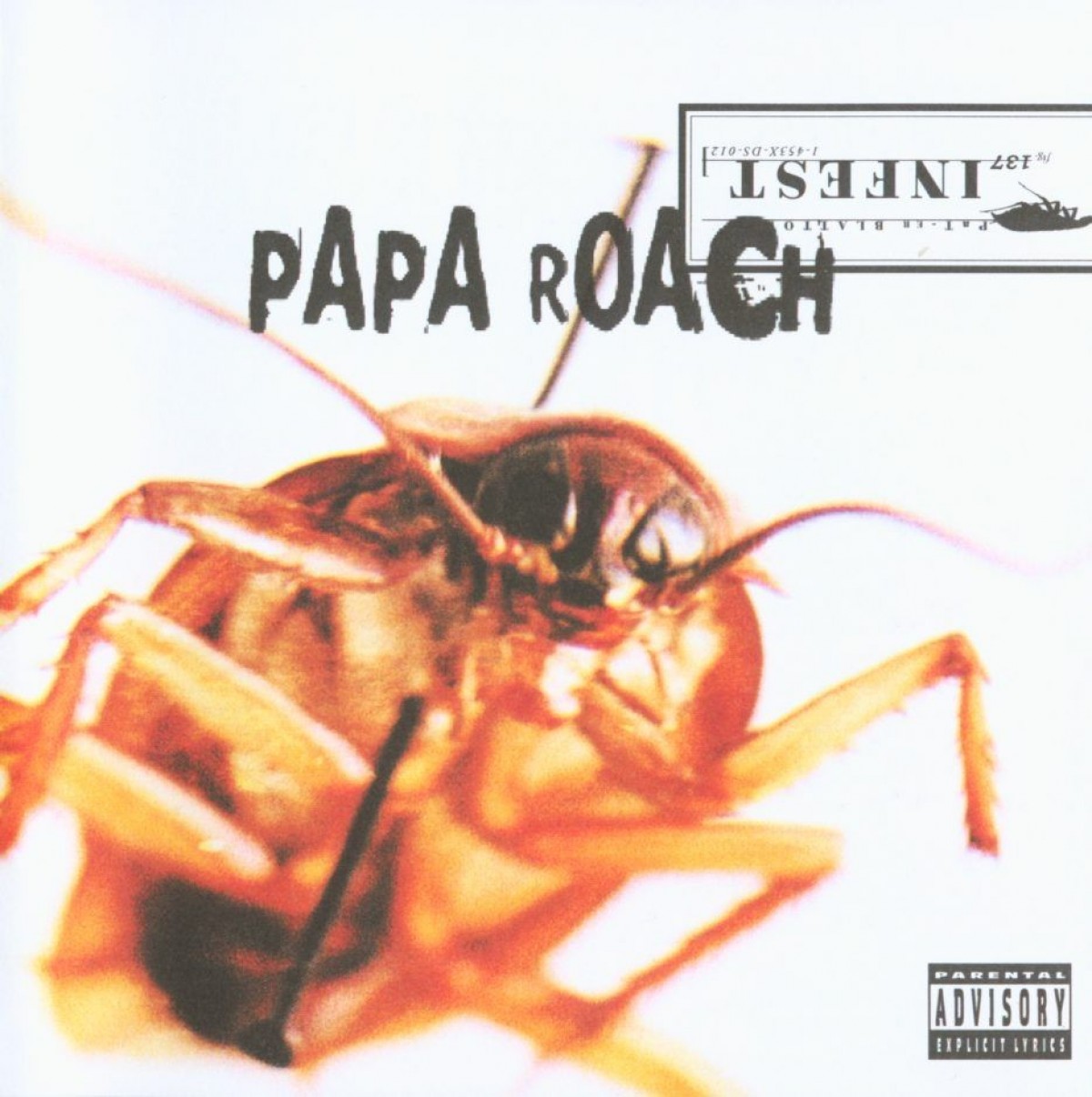 b2ap3_amp_papa_roach_-_infest_a.jpg