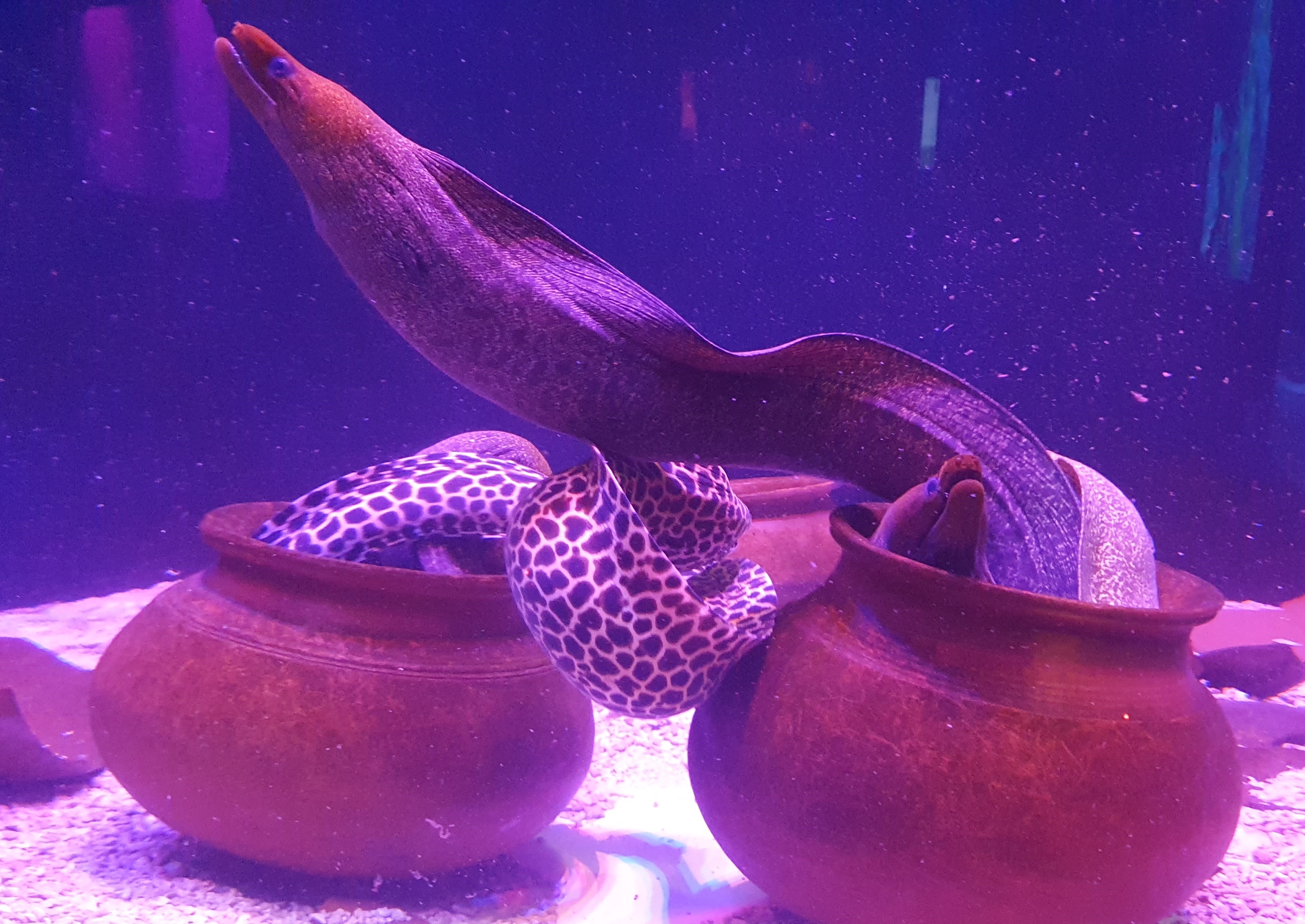 20221122_154553.jpg