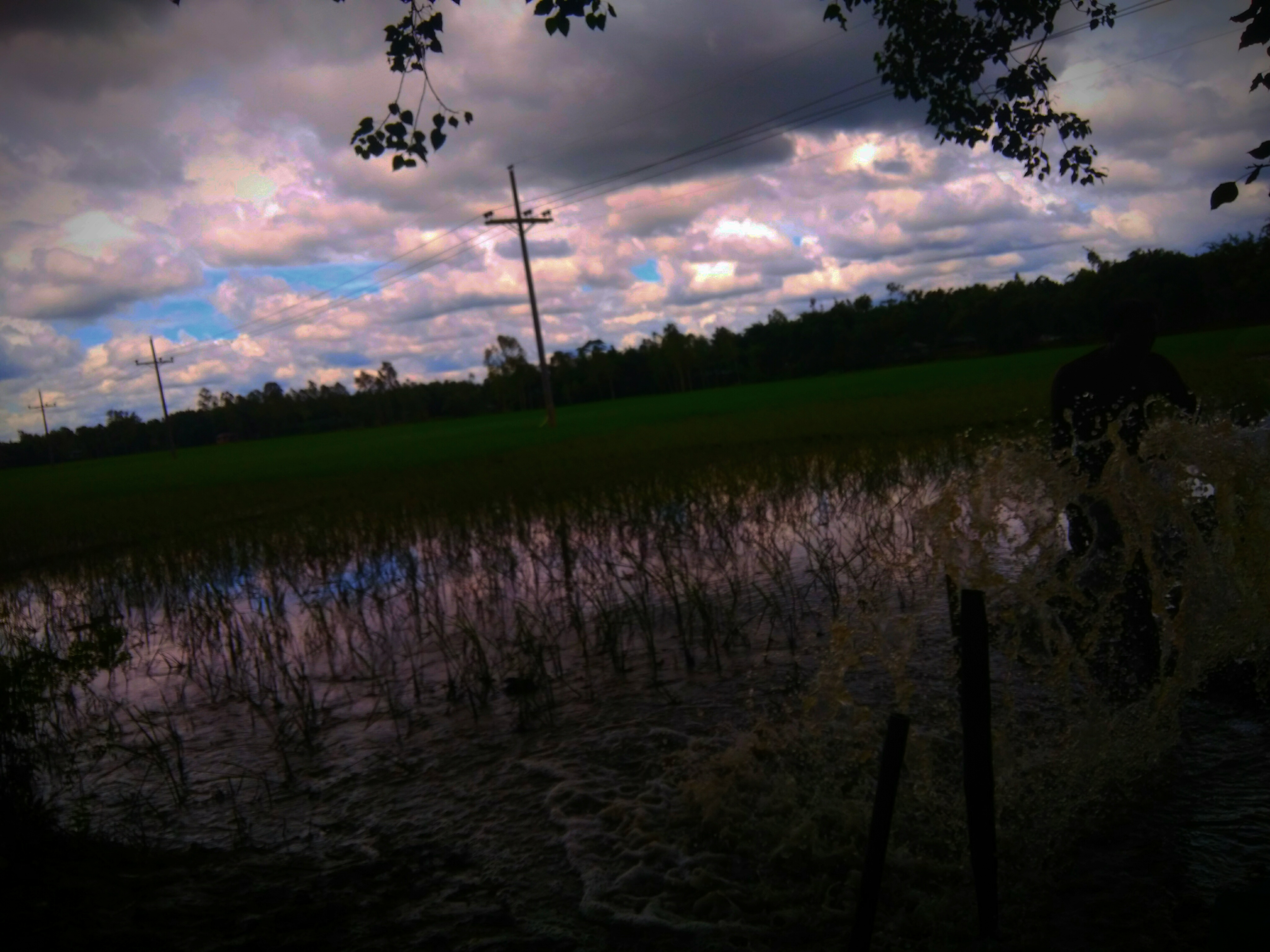 IMG_20200816_212500.jpg