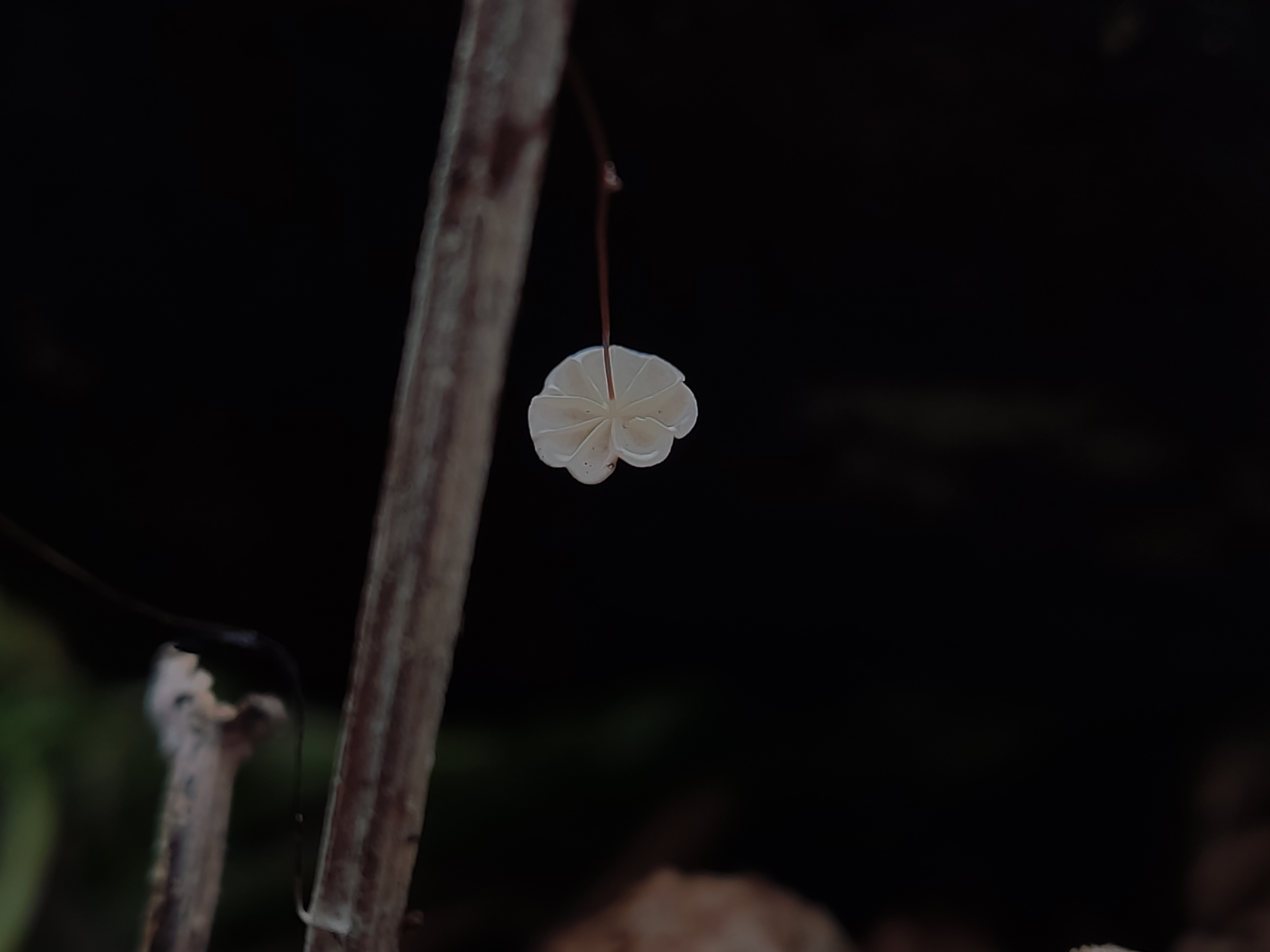 1697341811586.jpg