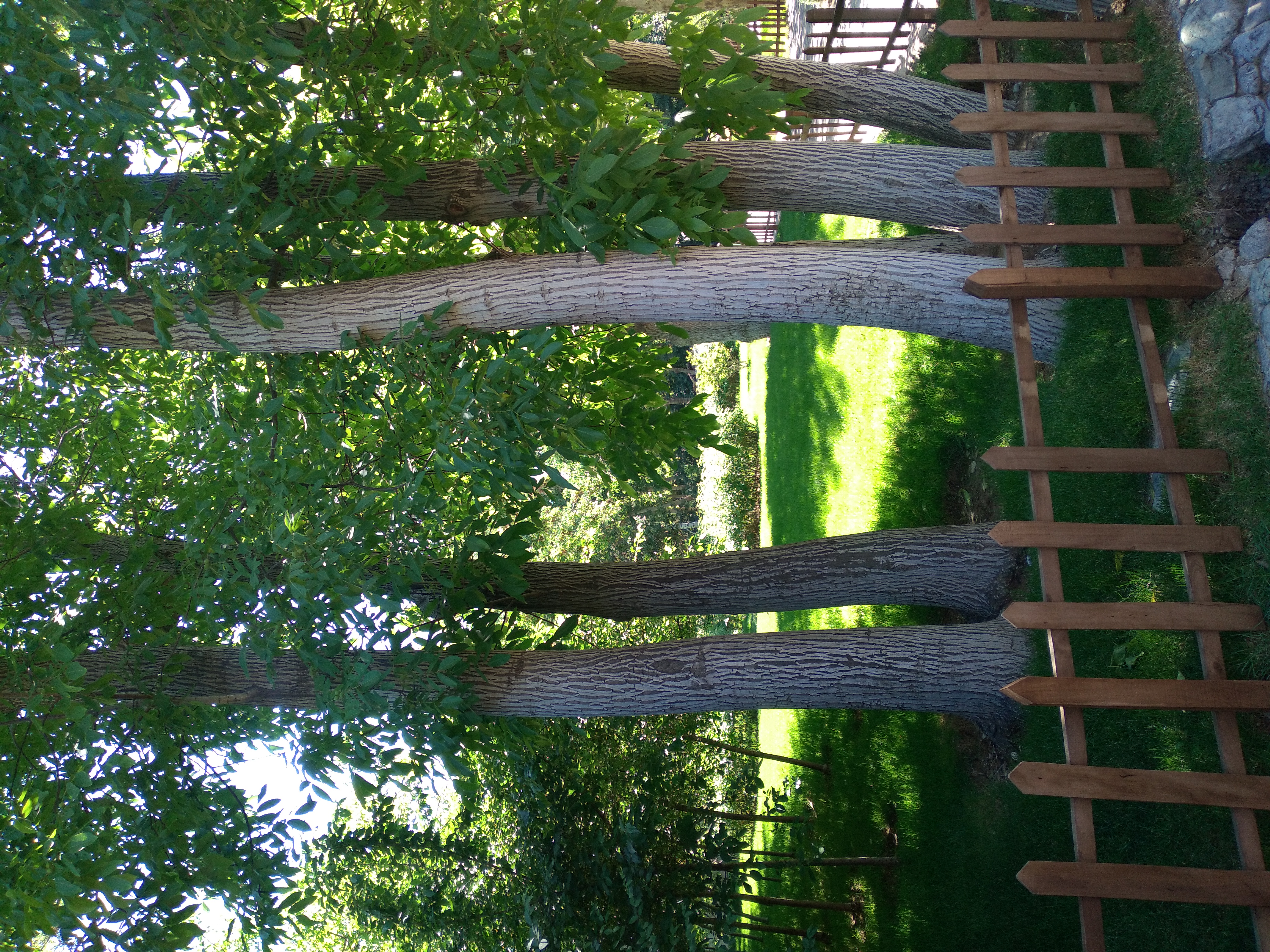 20250508_140403.jpg
