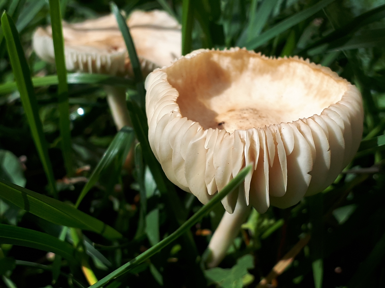 20220912_112145.jpg