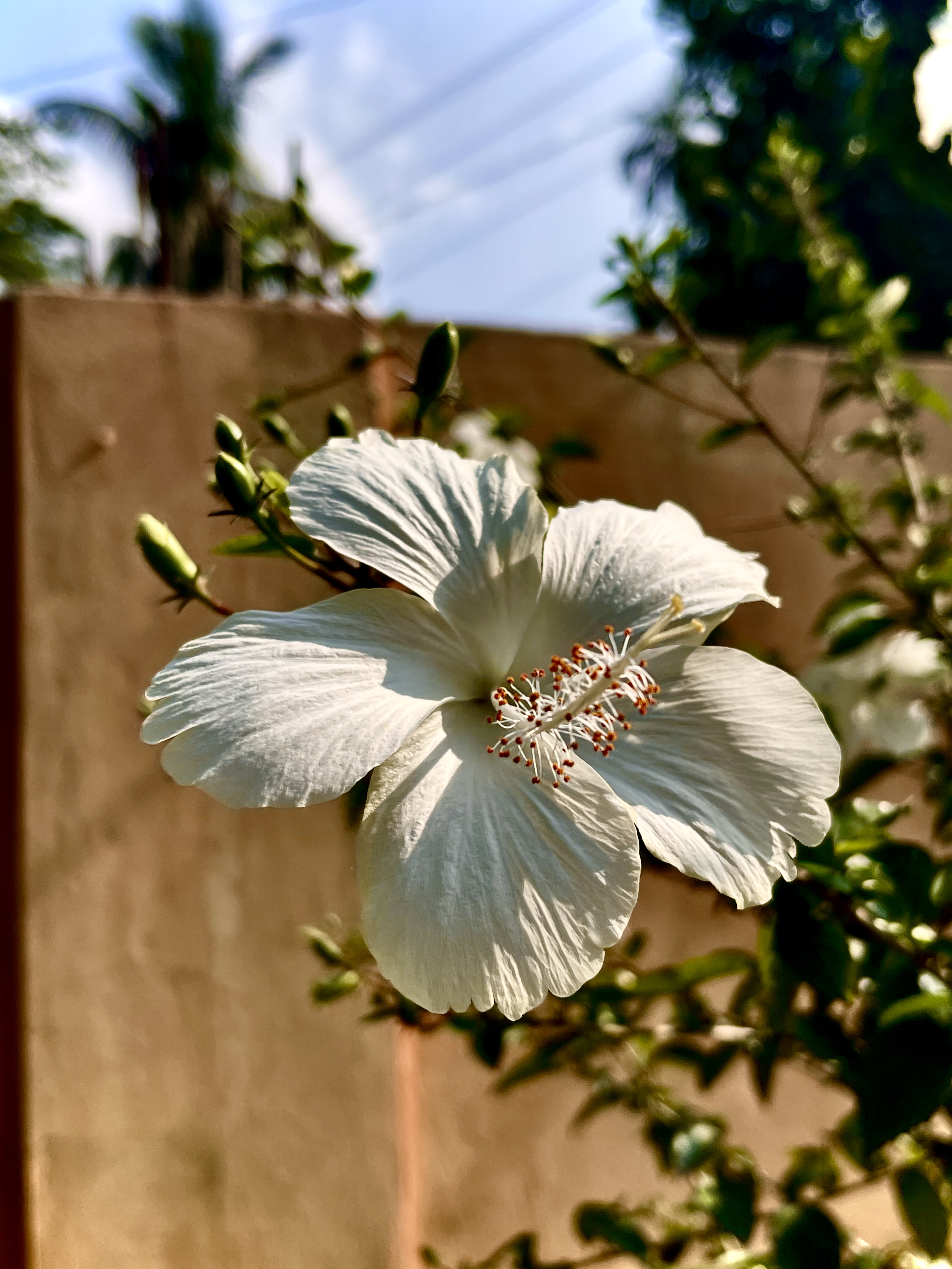 IMG_7783.jpeg