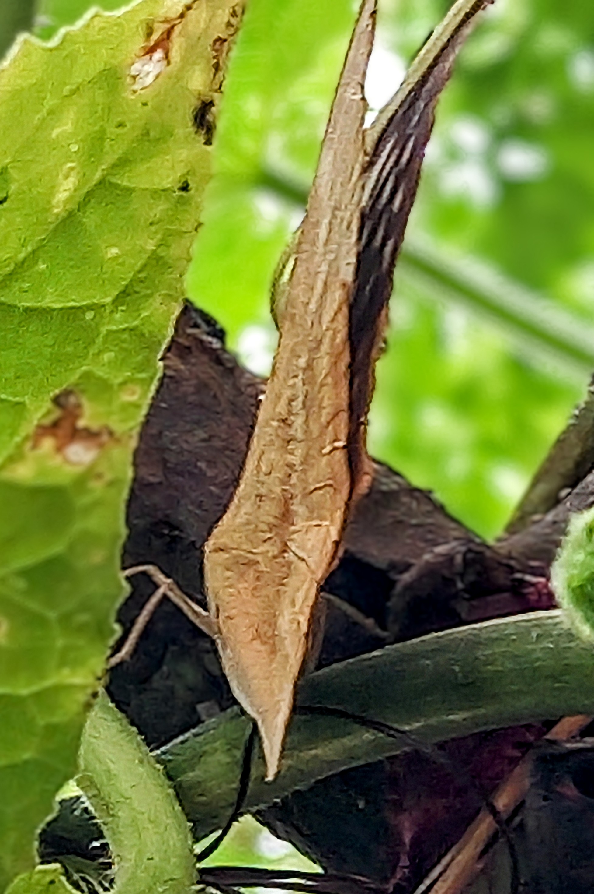 20250722_141754~3.jpg