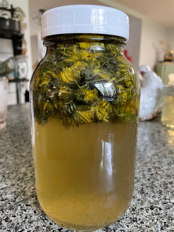 https://images.hive.blog/DQmdofbBwP2NZvEmyBR7jTXWdMAgBmtjVhTuPX4ZdnzZm9W/foodiesbehive-dandelion-syrup-1.jpg