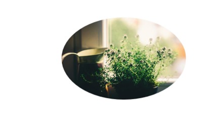 sunshine-window.jpg
