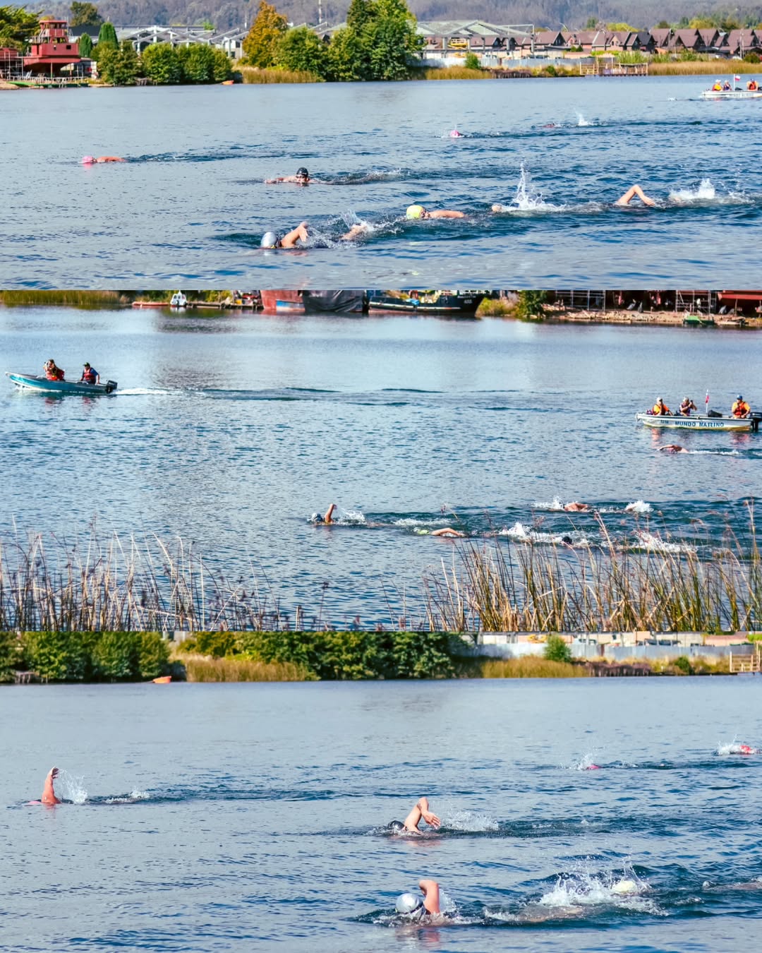 Así se vivió el ambiente el pasado sábado en el evento- Puente a puente   sin duda un día precioso  ...#valdiviachile #valdívia #rancgo #travesiapuenteapuente #puenteapuente #natacion #aguasabiertas #deportesacuáticos.heic (3).jpg