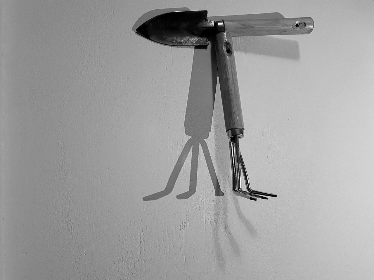 20190108_165713.jpg