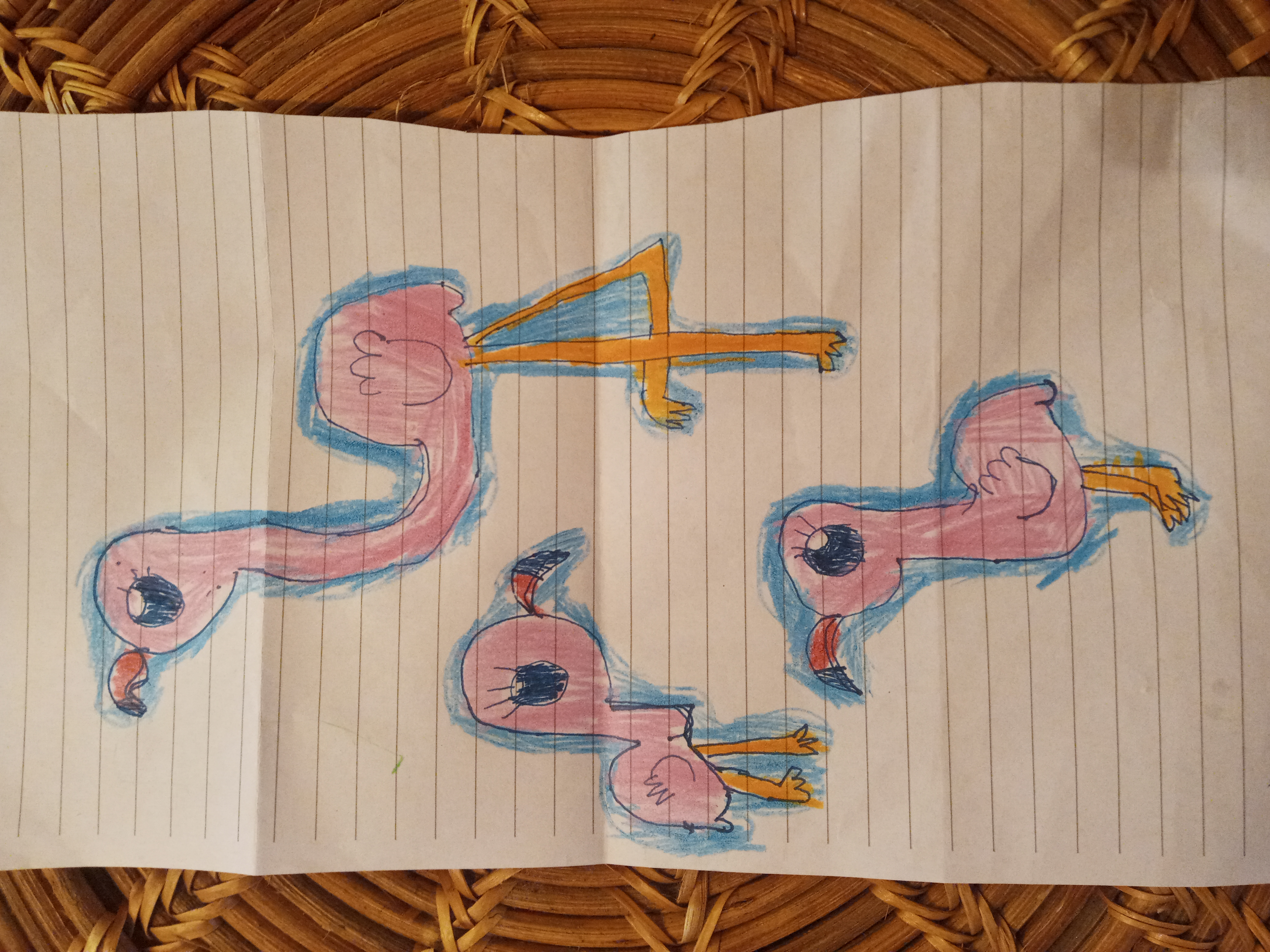 Hive Flamingo 3.jpeg