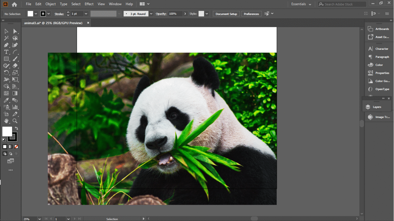 free online photo editor like photoshop panda