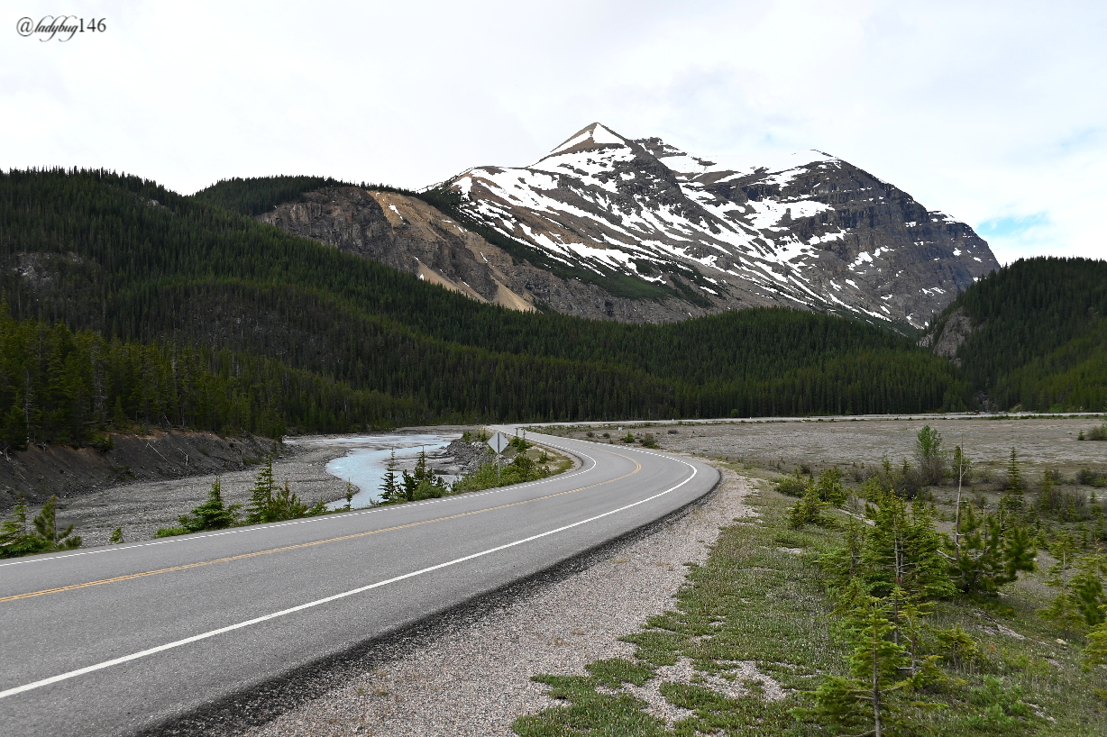 icefield parkway (5).jpg