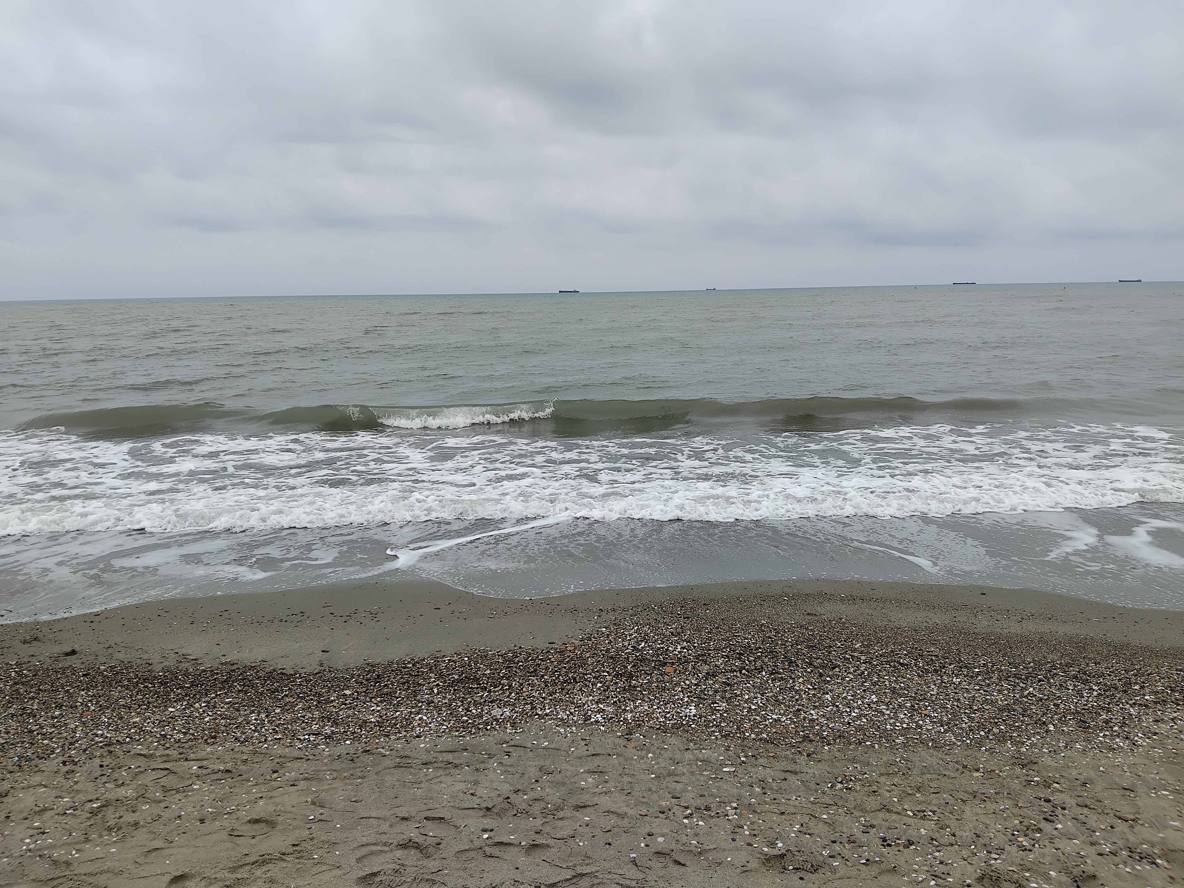 IMG_2640.jpeg