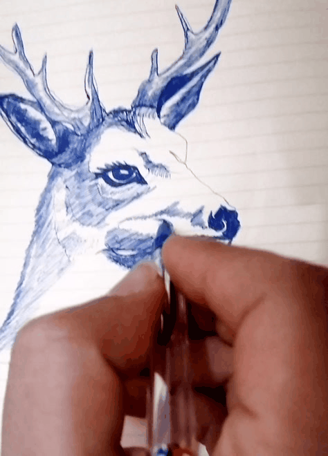 GIF_20250521_144116_895.gif