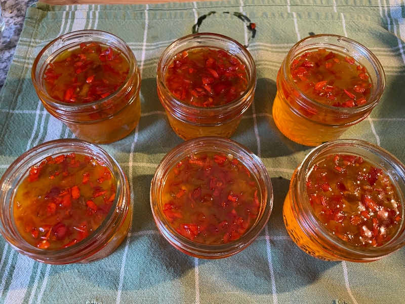 hivegarden-habanero-jelly.jpg