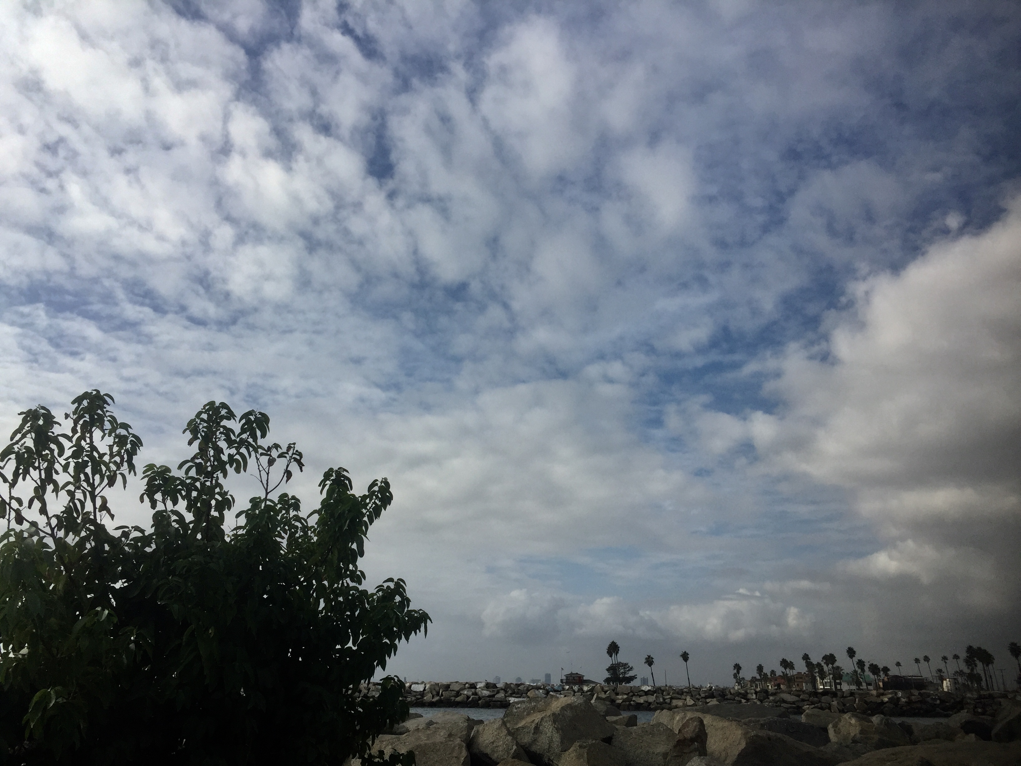 22821E16-1A3B-4F1C-A9FB-CC5B9C9AEA18.jpeg