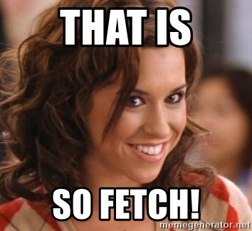 fetch1.jpg
