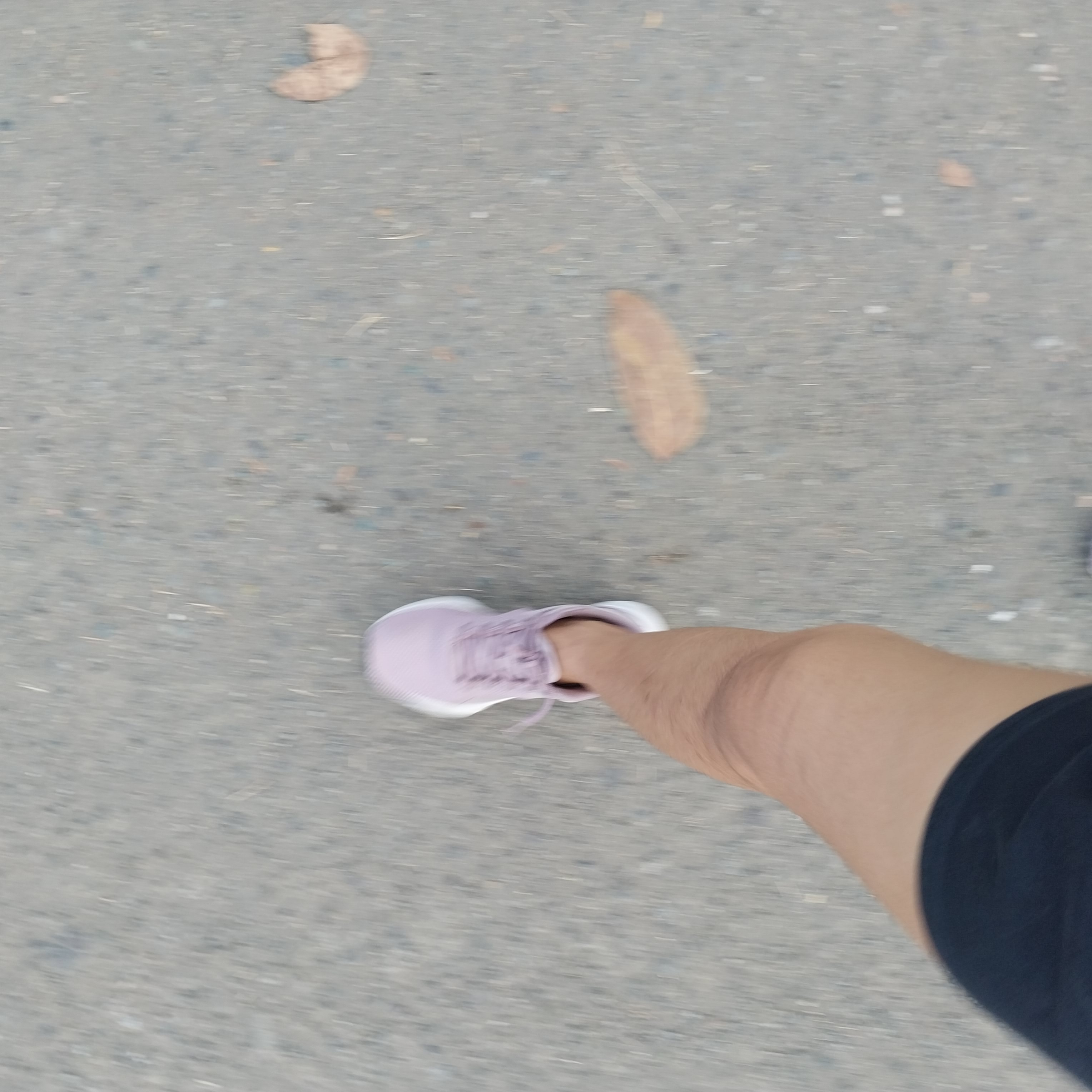 20230402_062311.jpg
