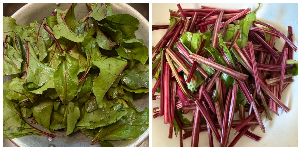 foodiesbeehive-hivegarden-beet-greens-1.jpg