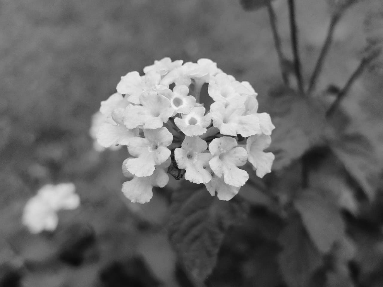 IMG_20250714_111248.jpg