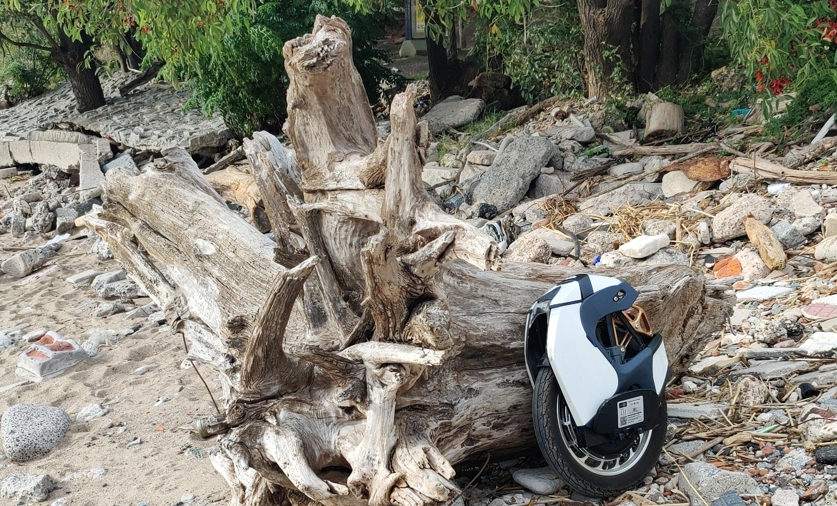 stump-wheel.jpg